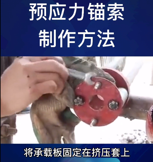 锚索承载体.jpg